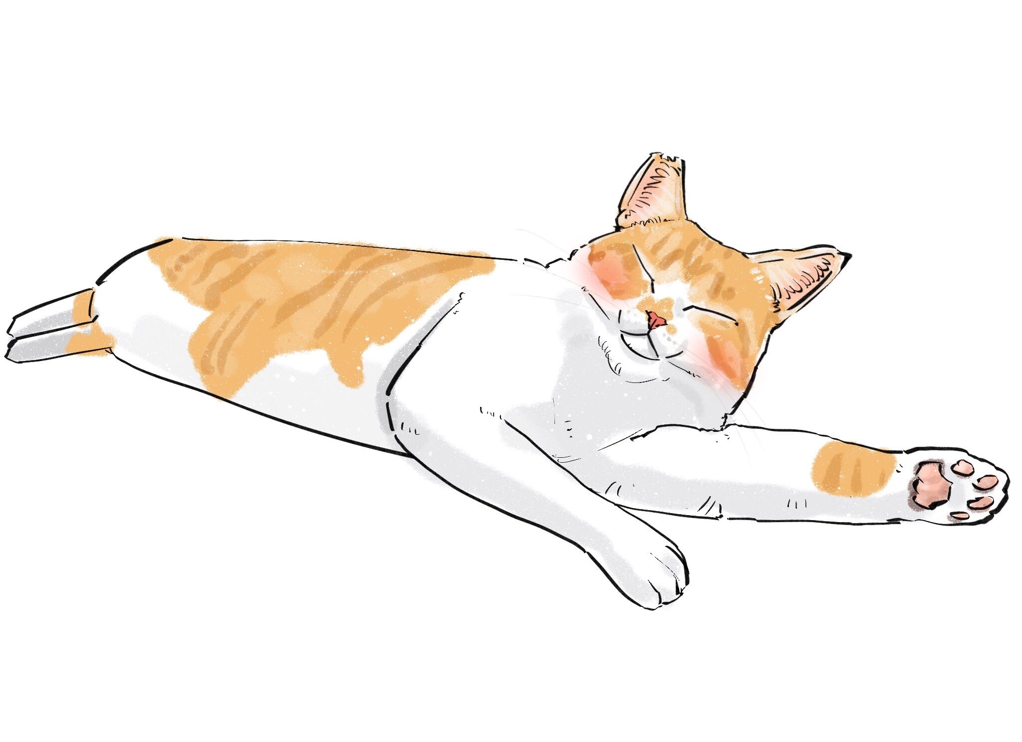 ♡チャチャ様♡ イラストの元野良猫チャチャスタンプ | 元野良猫チャチャとR me