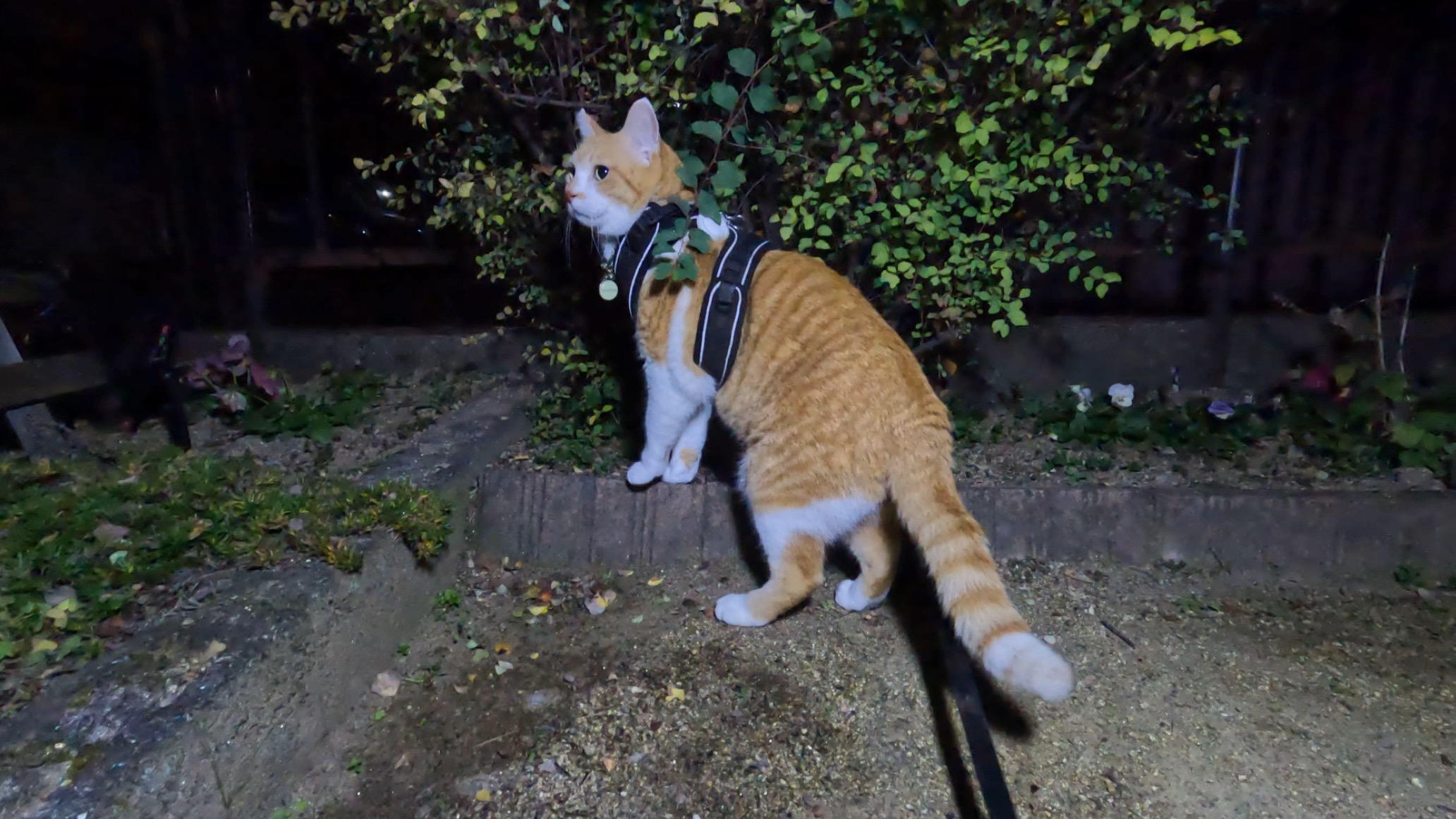 今年もありがとうございました｜一年の振り返りと感謝を込めて | 元